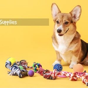 Pet Supplies